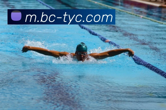 App Interface Preview