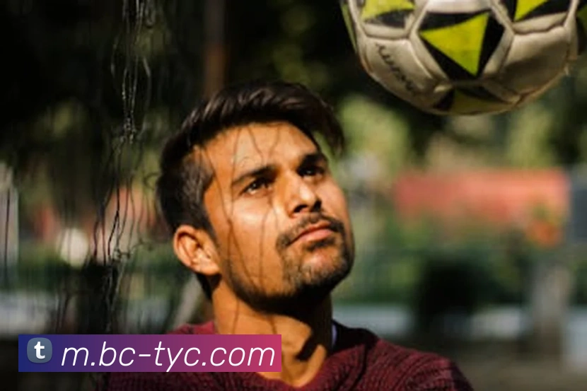 澳门太阳城APP 封面图